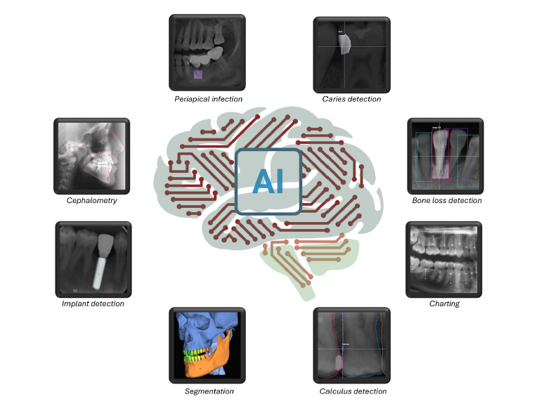 Schematic overview of mainclinical domains in dental imaging